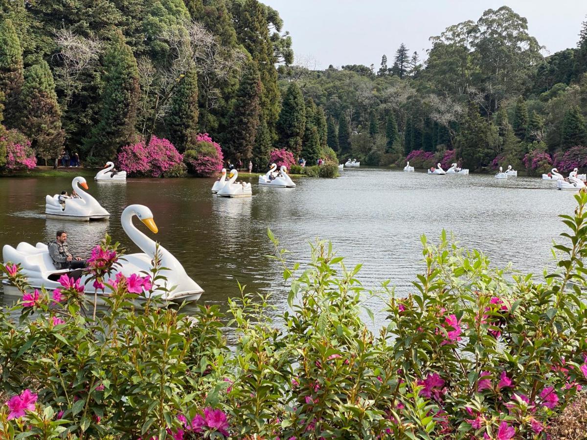 2 Suite, 1 Dormitorio Em Meio A Mata Araucaria A 1,5 Km Centro, Altos De Gramado Luaran gambar