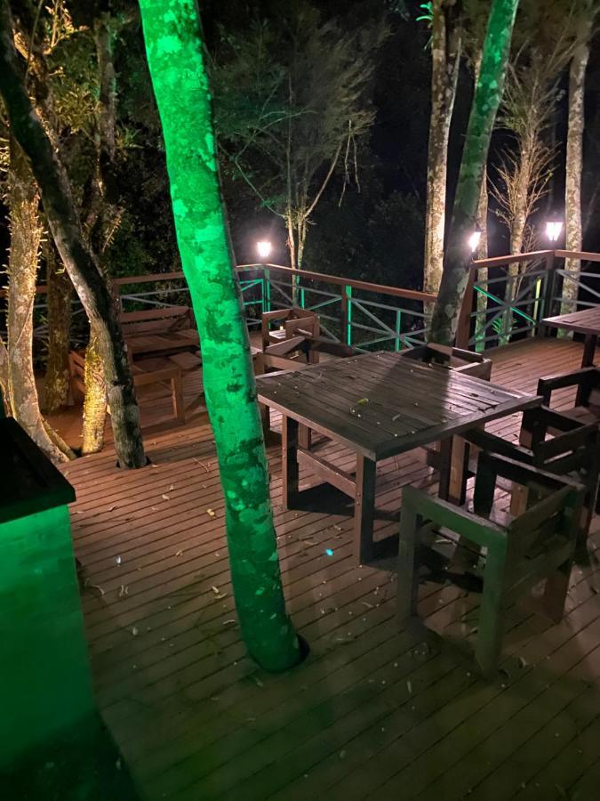 2 Suite, 1 Dormitorio Em Meio A Mata Araucaria A 1,5 Km Centro, Altos De Gramado Luaran gambar