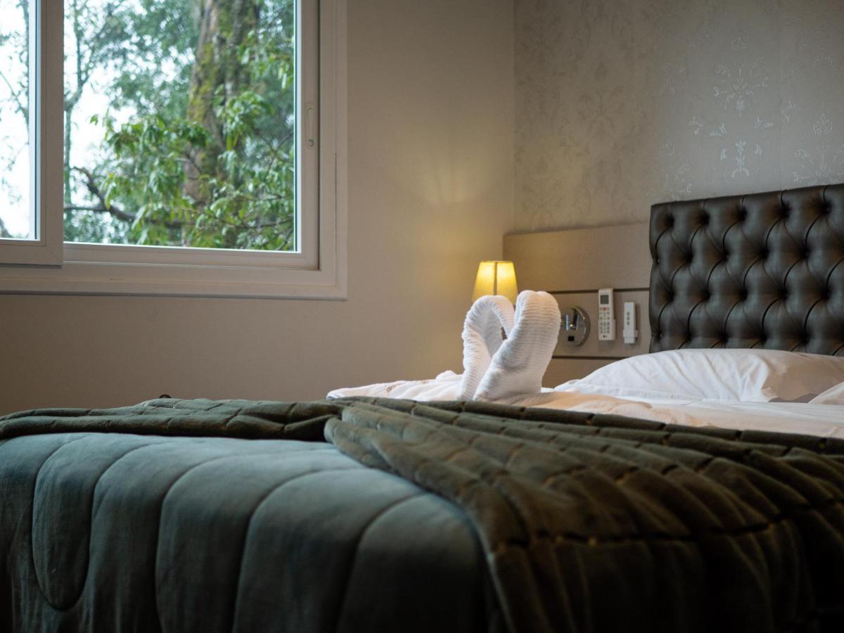 2 Suite, 1 Dormitorio Em Meio A Mata Araucaria A 1,5 Km Centro, Altos De Gramado Luaran gambar